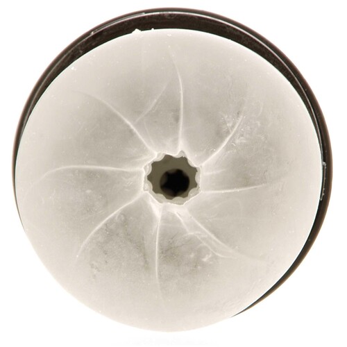 FLESHLIGHT FLIGHT male masturbator