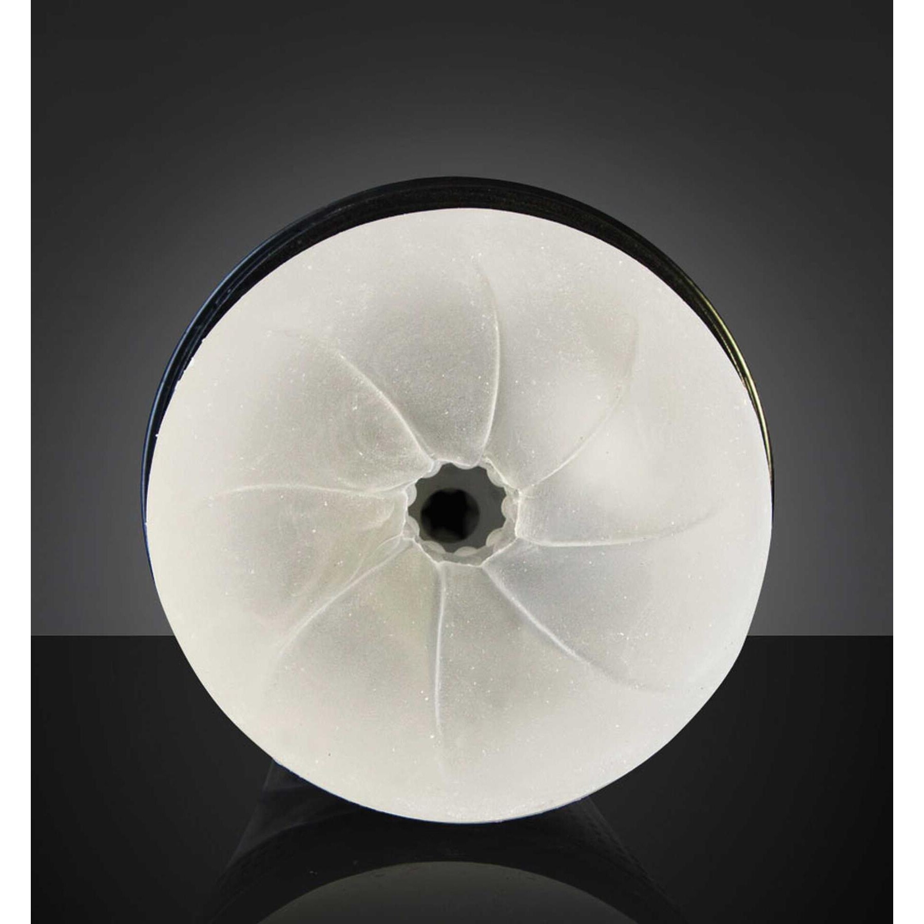FLESHLIGHT FLIGHT male masturbator