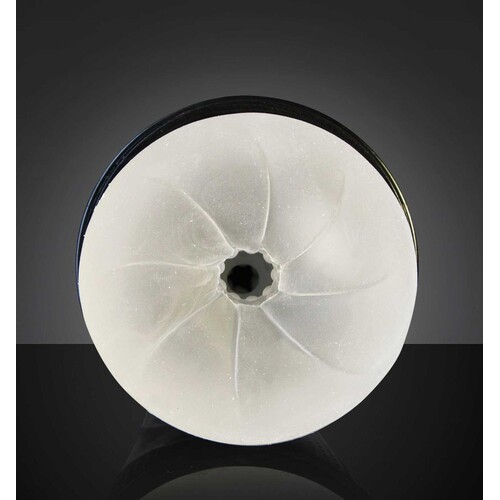 FLESHLIGHT FLIGHT male masturbator