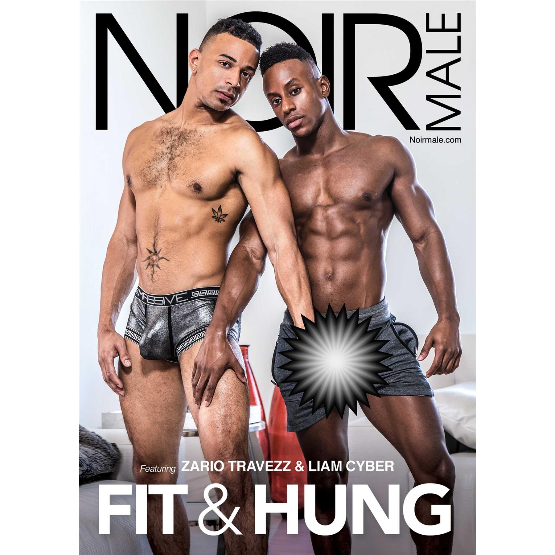 Two topless males posed wearing briefs displaying abs noir